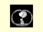 Abdominal Anatomy