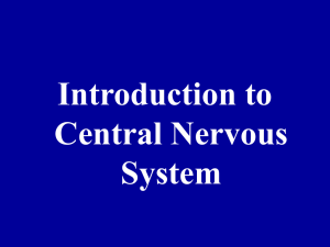 Introduction to Central Nervous System