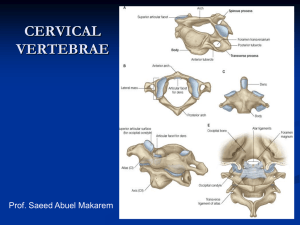 4-cervical spines2016-12-18 11:173.3 MB