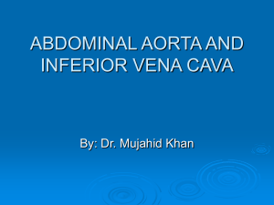 4.Abdominal Aorta and IVC
