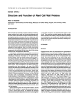Structure and Function of Plant Cell Wall Proteins