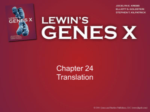 Chapter 24 Translation
