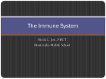 Chapter 13 – Lessonn 2 – The Immune System