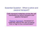Essential Question: What is active and passive transport?