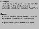 Species Niche