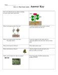 Plant Study Guide – Answer Key