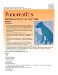 Pancreatitis