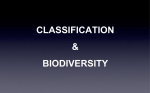 5.3 Classification NOTES File