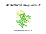 Structural alignment - Structural Biology Labs