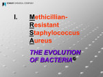 Resistant Staphylococcus Aureus THE EVOLUTION