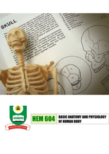 hem 604 basic anatomy and physiology of human body