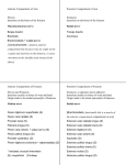 Upper Limb Compartments