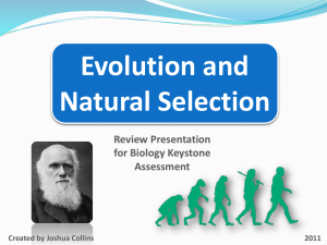 Evolution Keystone Presentation Part 1