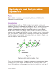 Hydrolysis and Dehydration Synthesis