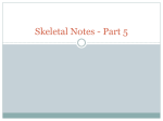 Skeletal Notes - Part 5