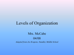 Levels of Organization - Darlington Middle School