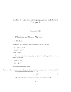 Lecture 8 - Universal Enveloping Algebras and Related Concepts, II