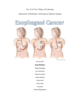 Group 7- Esophageal Cancer Final Paper.​docx