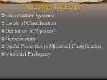 microbial taxonomyx