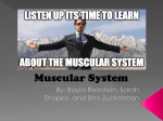 Muscular System - Roslyn Schools
