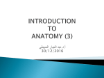 introduction to anatomy (3)