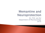 Memantine and Neuroprotection