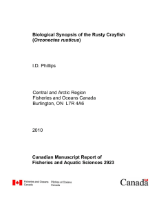 Biological Synopsis of the Rusty Crayfish (Orconectes rusticus)