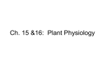 Ch. 16: Plant Physiology