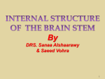 6-Internal Structures of Brainstem2015-08-29 22