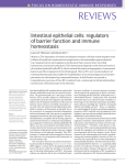 Intestinal epithelial cells: regulators of barrier function and immune