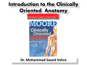 Introduction to the Clinically Oriented Anatomy