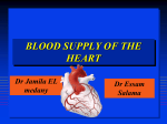 BLOOD SUPPLY OF HEART