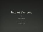 Expert Systems