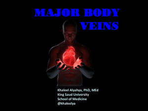 3-Major Veins of the body