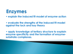 Enzymes - WordPress.com