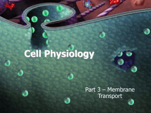 Membrane Transport Lecture