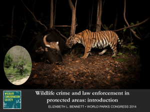 Wildlife crime and law enforcement in protected areas
