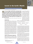 Garnet in the Earth`s Mantle