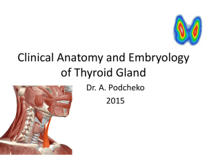 Clinical Anatomy of Thyroid Gland