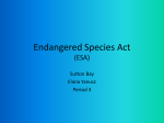 Endangered Species Act (ESA)