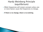 Hardy Weinberg Principle (equilibrium)