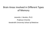 Brain Areas involved in Different Types of Memory