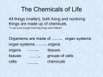 1.3.2 Chemical Elements
