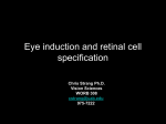 Eye induction