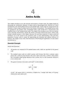 Amino Acids