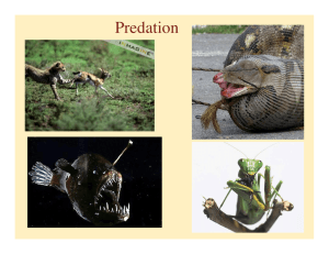 Predation - life.illinois.edu