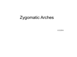 Zygomatic Arch ,Nasal bones