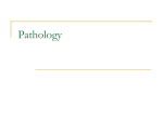 Pathology reports