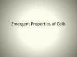 Emergent properties of cells and Stem Cells notes