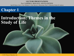 01_Lecture_Presentation_PC